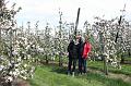 MG Bloesemrit op 24-4-2016 org. Jos&Marie-lou  (190)